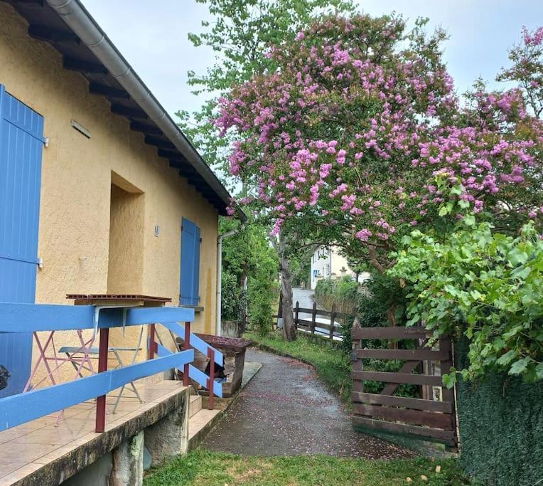 Maison Au Pied De La Montagne Aspet Kültér fotó