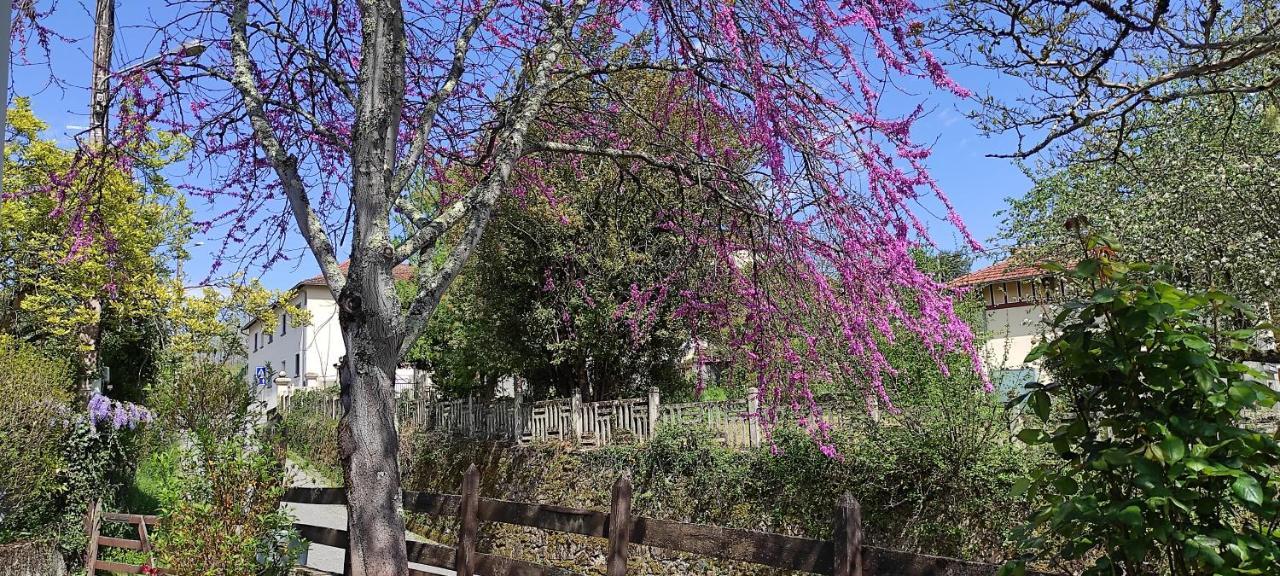 Maison Au Pied De La Montagne Aspet Kültér fotó