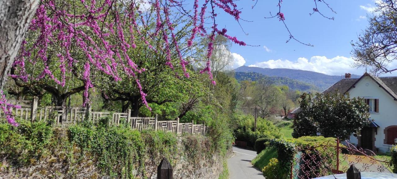 Maison Au Pied De La Montagne Aspet Kültér fotó