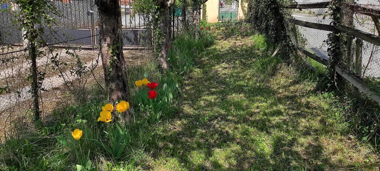 Maison Au Pied De La Montagne Aspet Kültér fotó
